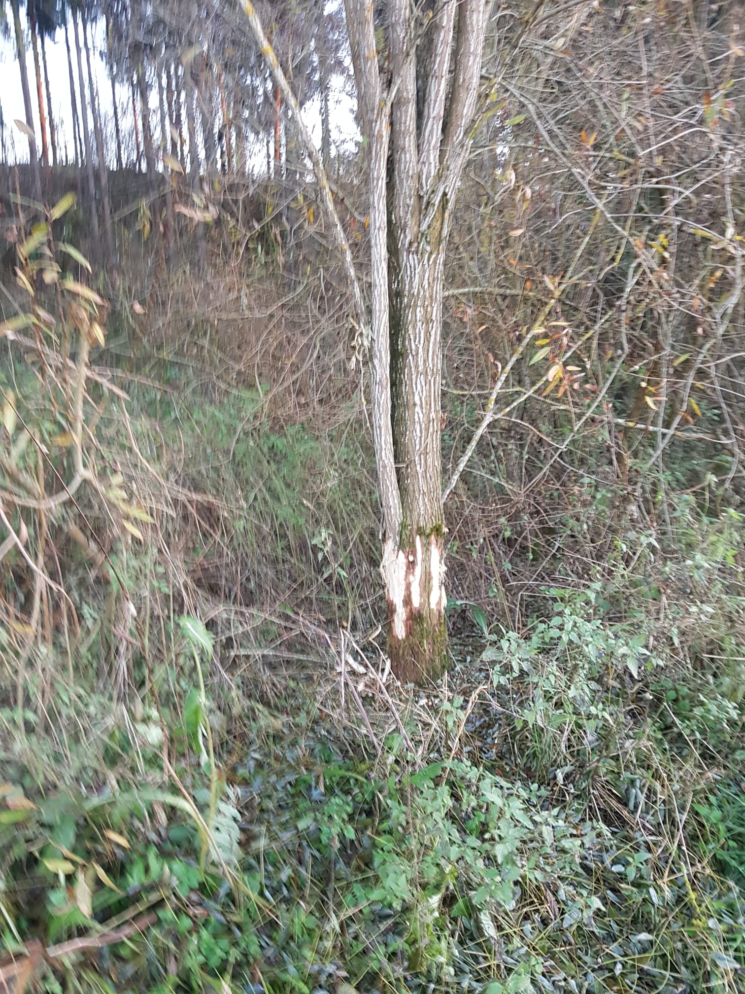 Galeriebild: WhatsApp Image 2022 06 05 at 16.58.24